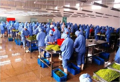 【传统制造改造提升】高兴夫宣读分行业省级试点名单,21个县(市、区)火力全开!_财经_网
