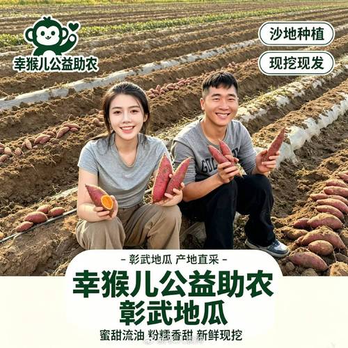 彰武县优质农副产品走进人民网自2021年起,彰武县