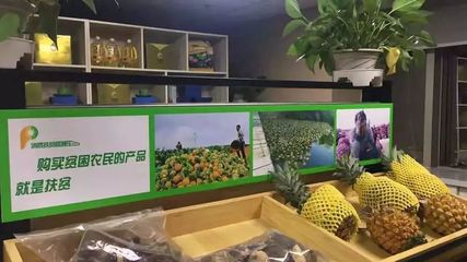 想成为政府农副产品供应商吗?机会来了!国家正在列名录,优先考虑贫困地区!